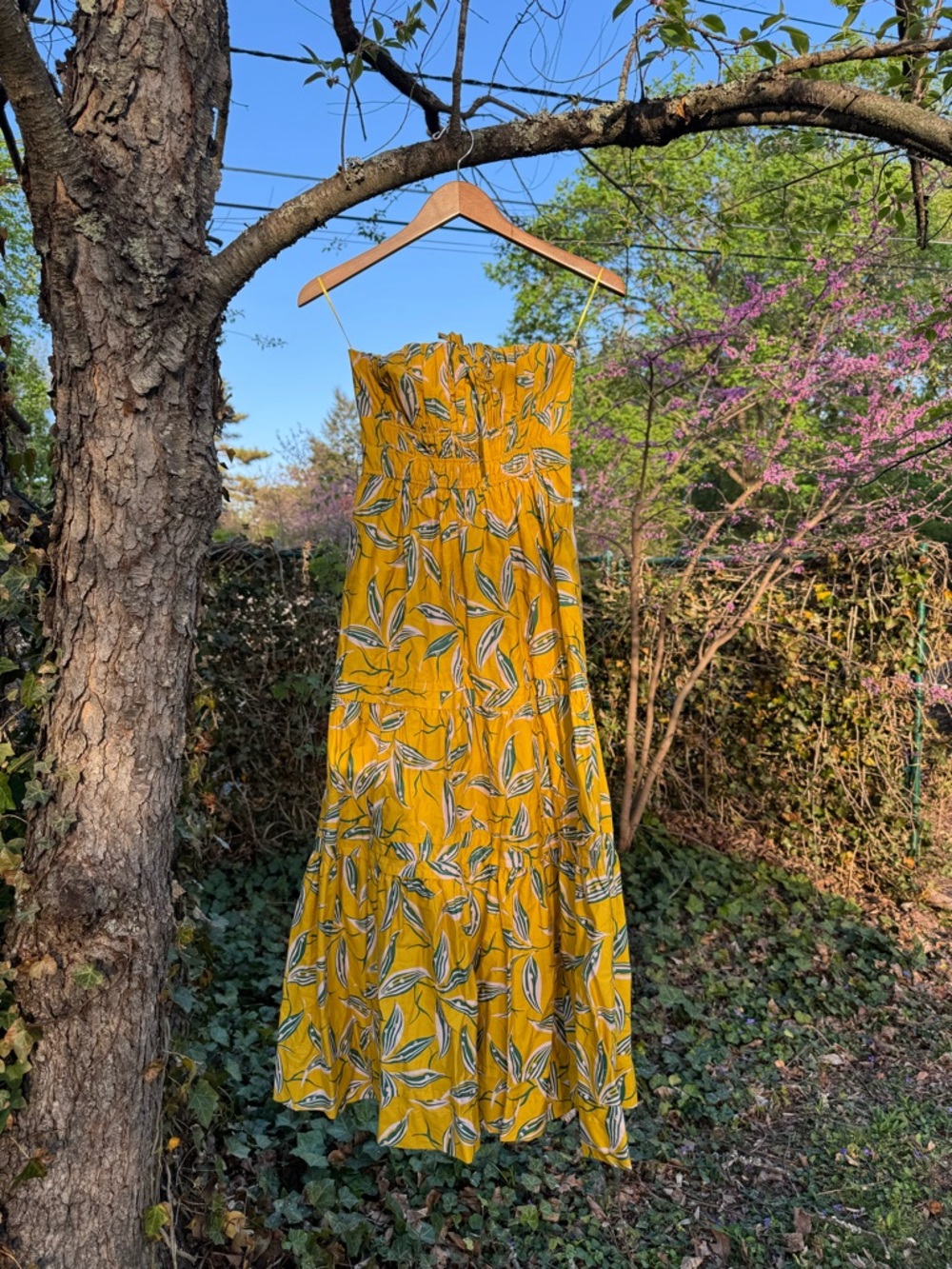 Anthropologie Somerset Yellow Banana
Strapless Maxi Dress (NWT)